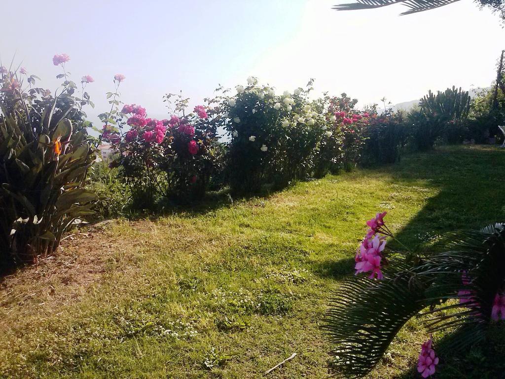 Villa Fontana Tropea Luaran gambar